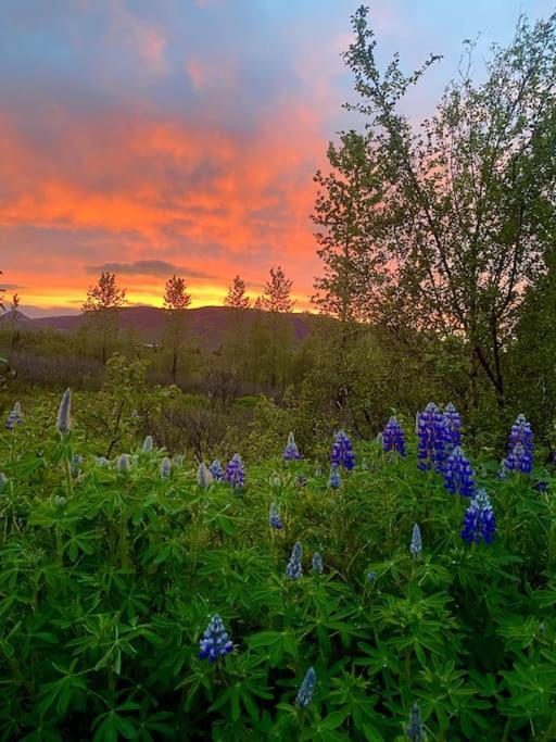 Luxury Cottage Located In The Golden Circle, Mountain View! Лаугарватн Екстериор снимка